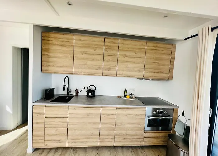 Surla Houseboat Aqua Zen Kagerplassen With Tender Botel Kaag